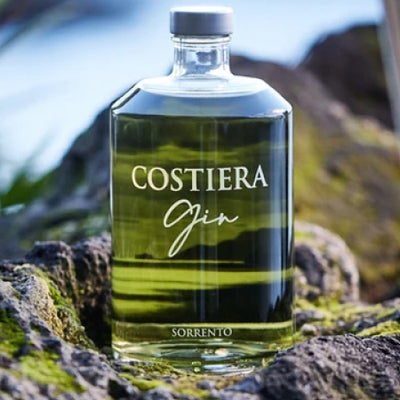 Le Gin de La Costeria - Babadelimoncello