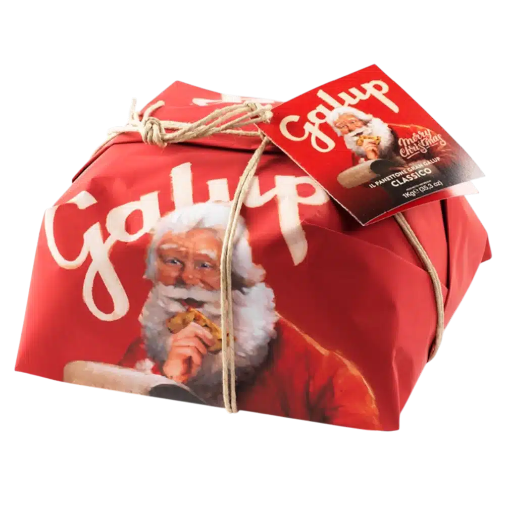 Panettone Classique Galup 1kg