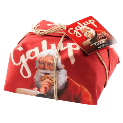 Panettone Classique Galup 1kg